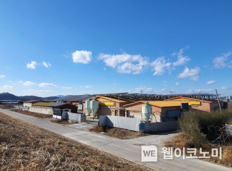 영천축산 이미지