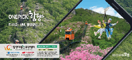 배너