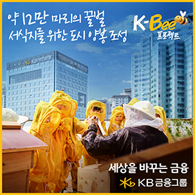배너