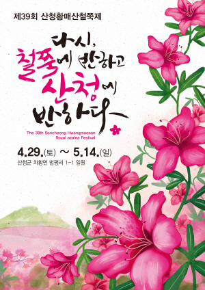 배너