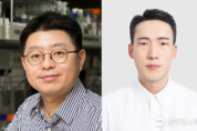 KAIST-한국화학연구원 공동 연구팀,화학 색소 없는 구조색 컬러 인쇄 기술 개발