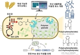 KAIST, 미생물 이용한 플라스틱 환경오염 문제 해결 다가가