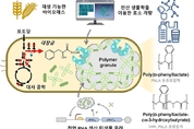 KAIST, 미생물 이용한 플라스틱 환경오염 문제 해결 다가가