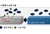 “수소 이온 활용해 배터리 소재의 물성 조절하는 새로운 원리 제시”