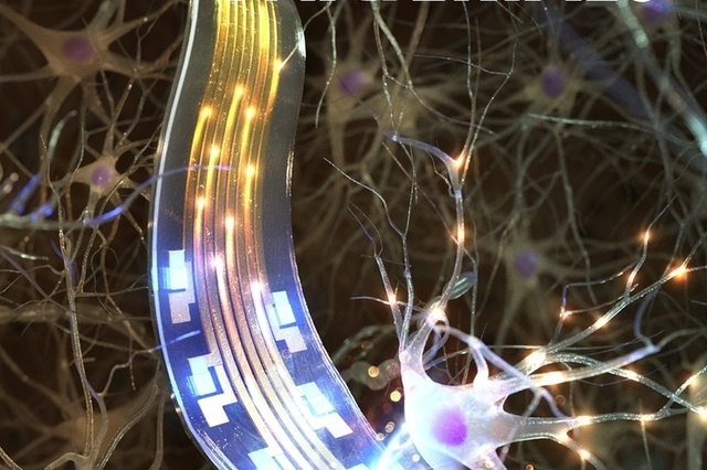 KAIST, 마이크로 OLED로 난치성 뇌질환 치료‘게임 체인저’ 기술 제시