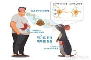 과기정통부, 1월 과학기술인상, 서울대 최형진 교수 선정
