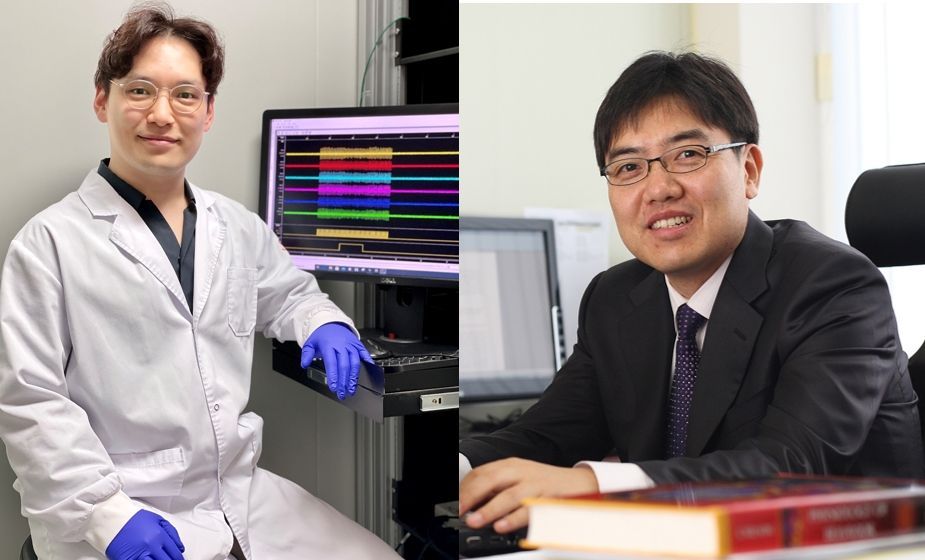 (좌측부터) KAIST 생명과학과 정이래 박사, KAIST 생명과학과 한진희 교수 2021.07.13 (출처:KAIST)