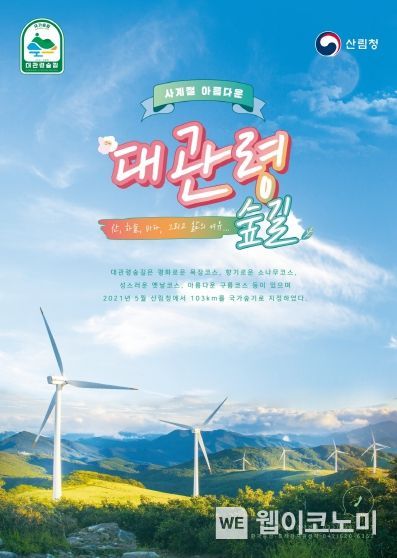 대관령 국가숲길 홍보포스터