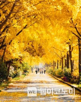 송파의 걷기 좋은 가을 명소 4곳 소개
