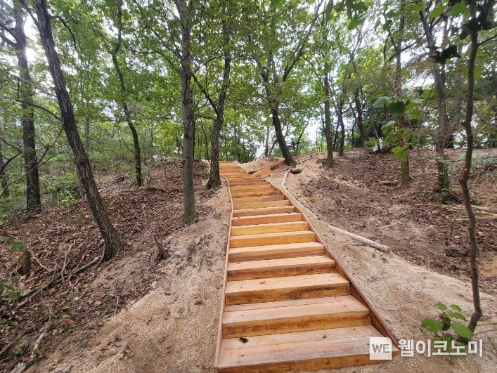 등산로 없는 산 이미지