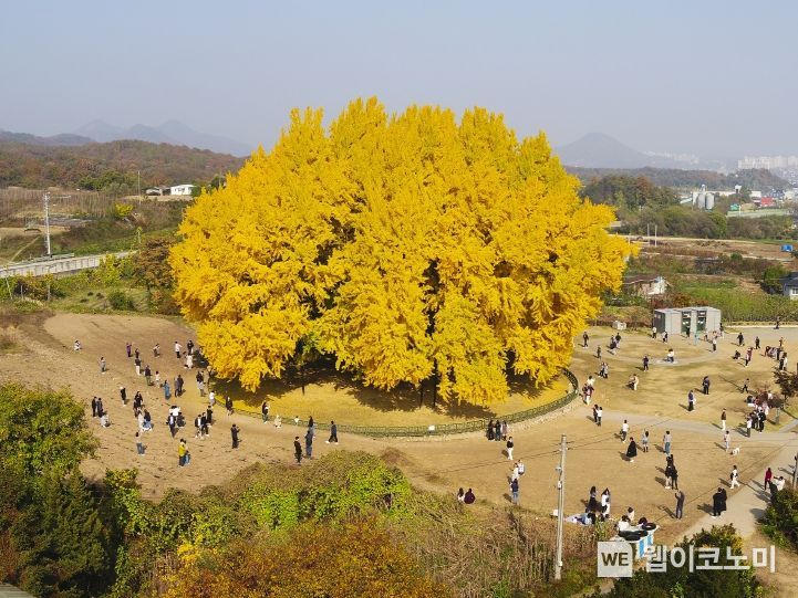 광장설비 이미지