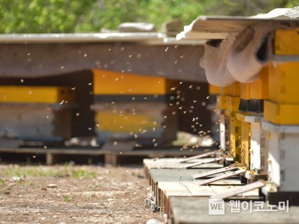 청송축산 이미지