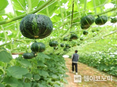 해남식품 이미지