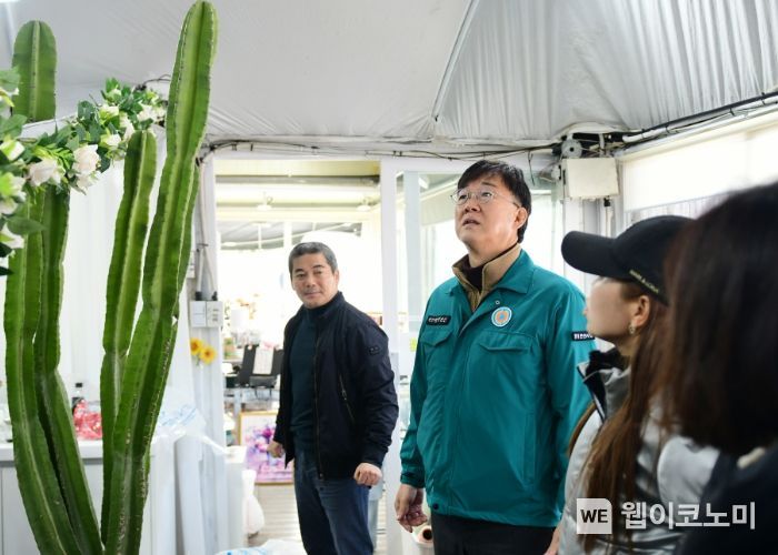 꽃마을 이미지
