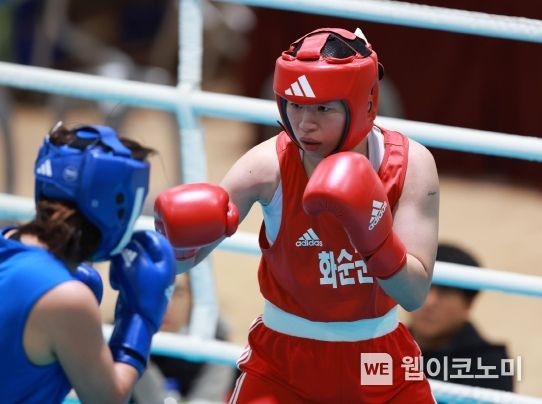 복싱 이미지