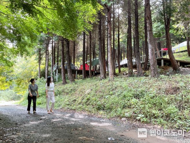 주작산자연휴양림 이미지
