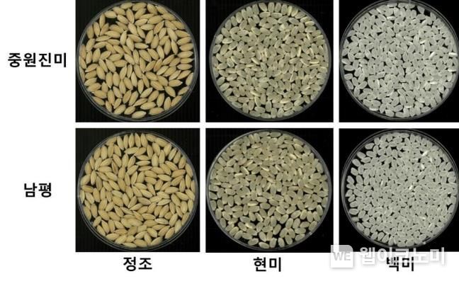 진미 이미지