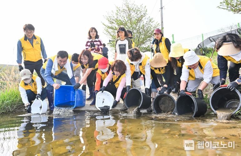 올챙이네 이미지
