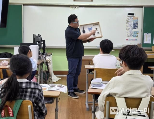 흥천초교 이미지